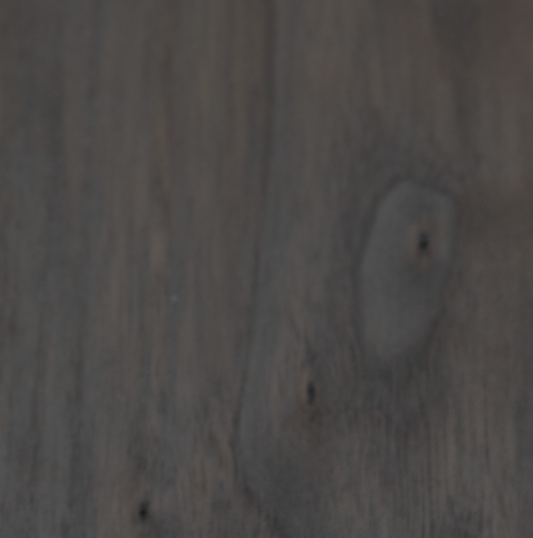 Charred Wood Stain 13