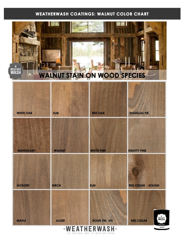 BRAND AMBASSADORS – WeatherWash Coatings